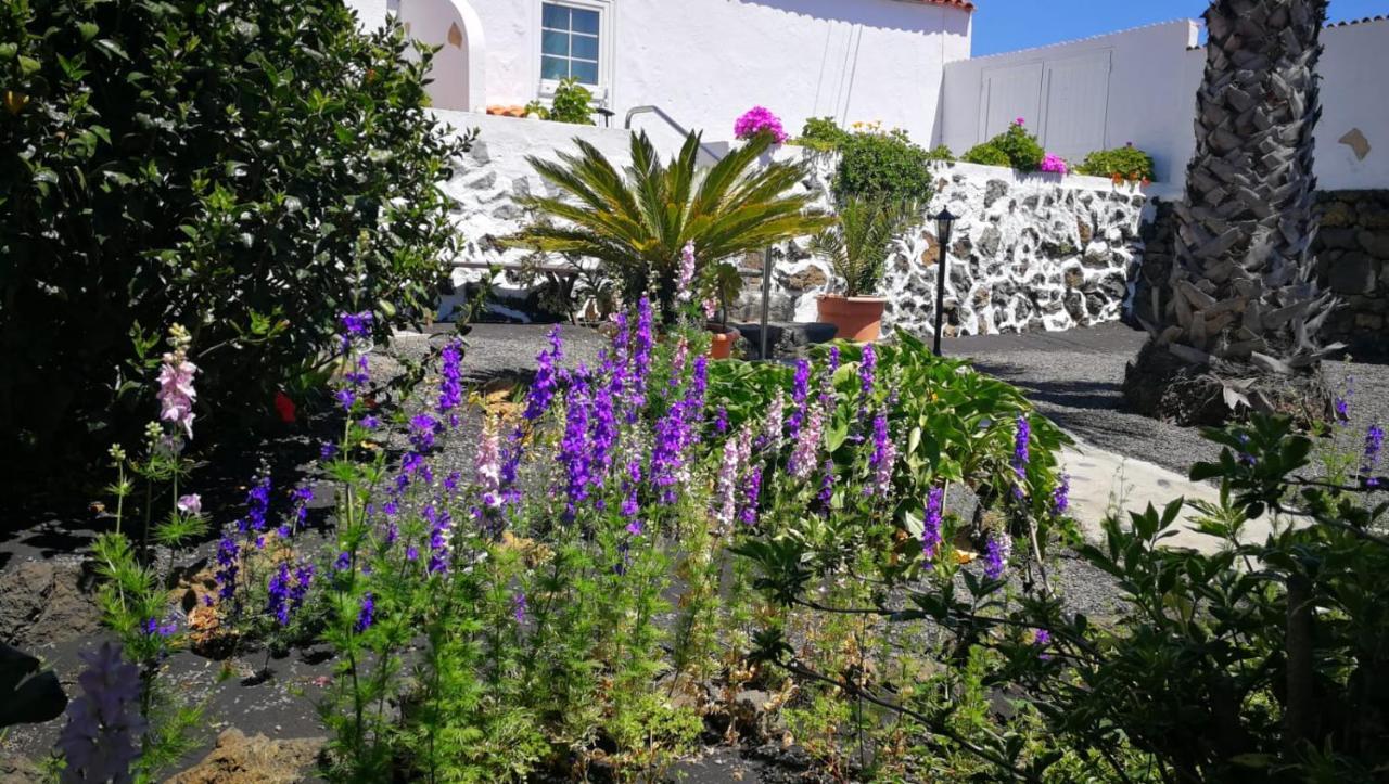 Finca Primavera El Paso Luaran gambar
