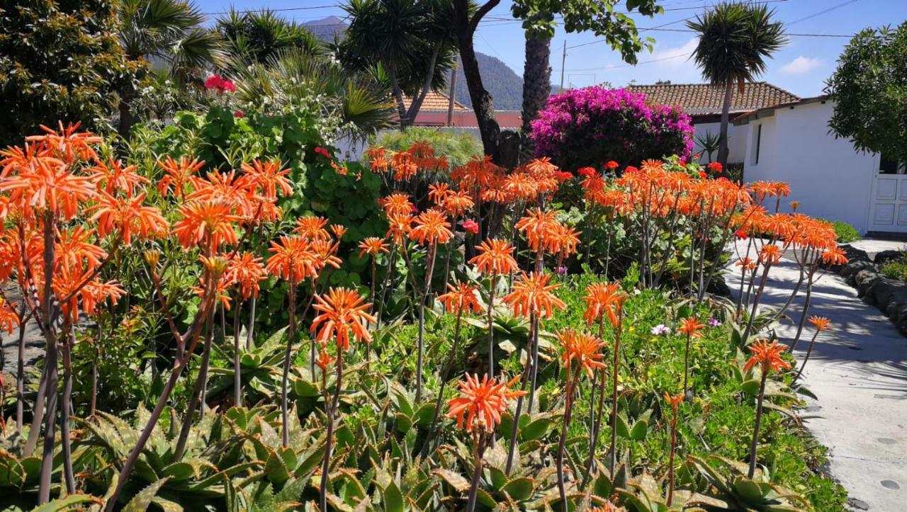 Finca Primavera El Paso Luaran gambar