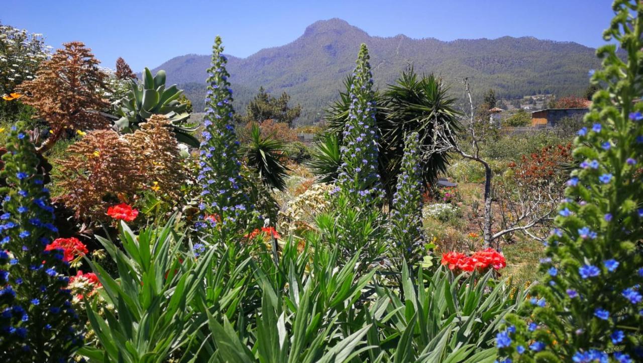 Finca Primavera El Paso Luaran gambar